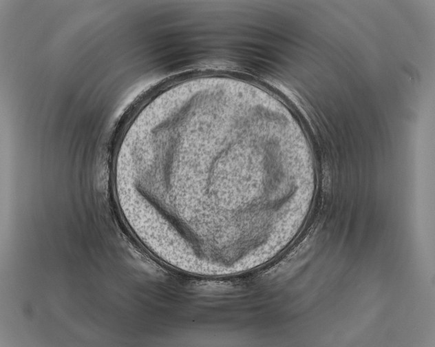 X0000112411115200909110944