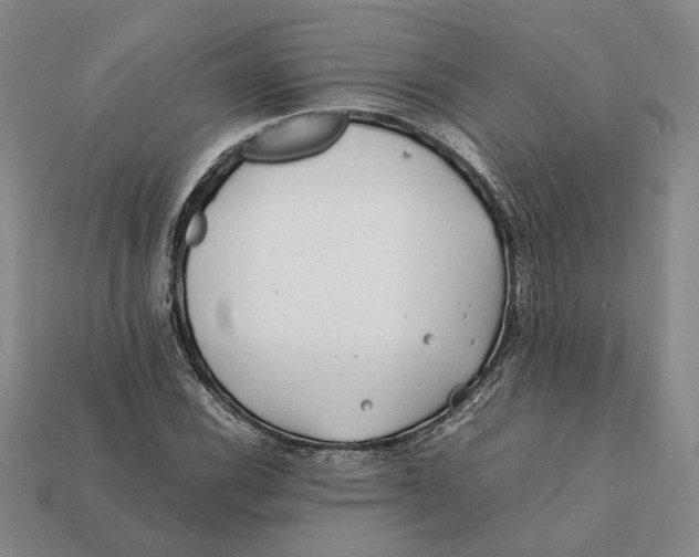 X0000112411116200909110944