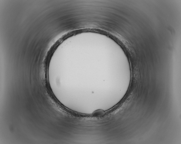 X0000112411118200909110944