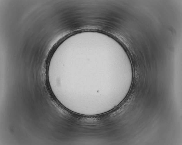X0000112411119200909110944
