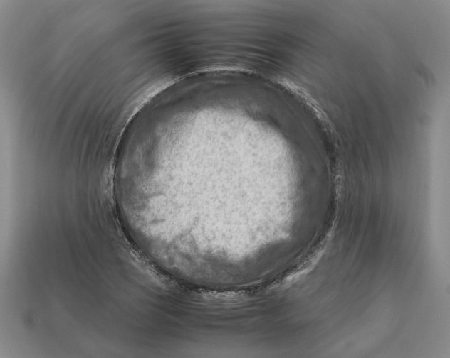X0000112411121200909110944