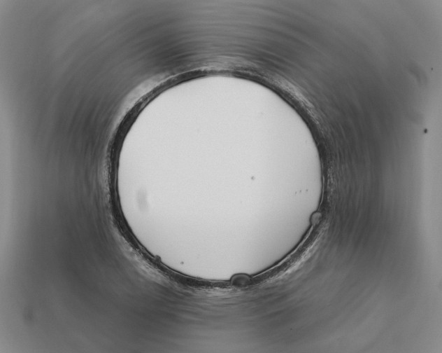 X0000112411122200909110944