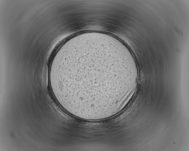 X0000112411123200909110944
