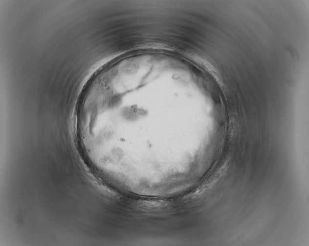 X0000112411125200909110944