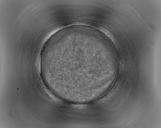 X0000112411127200909110944
