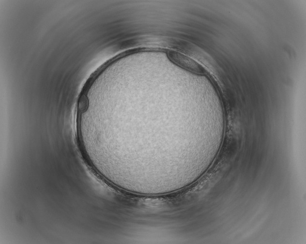 X0000112411128200909110944