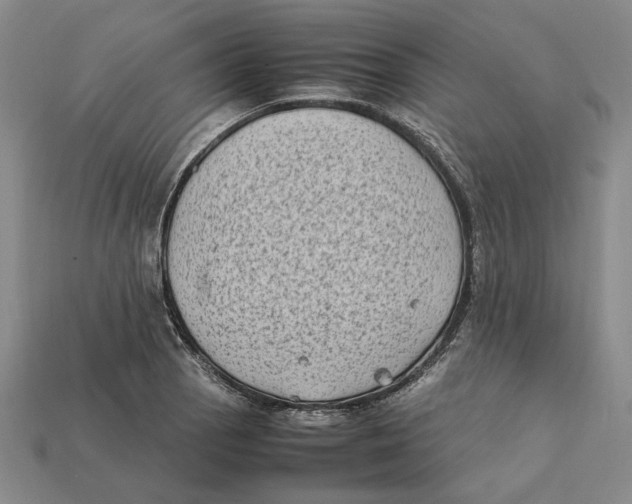 X0000112411129200909110944
