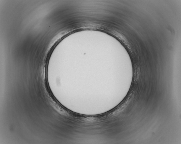 X0000112411130200909110944
