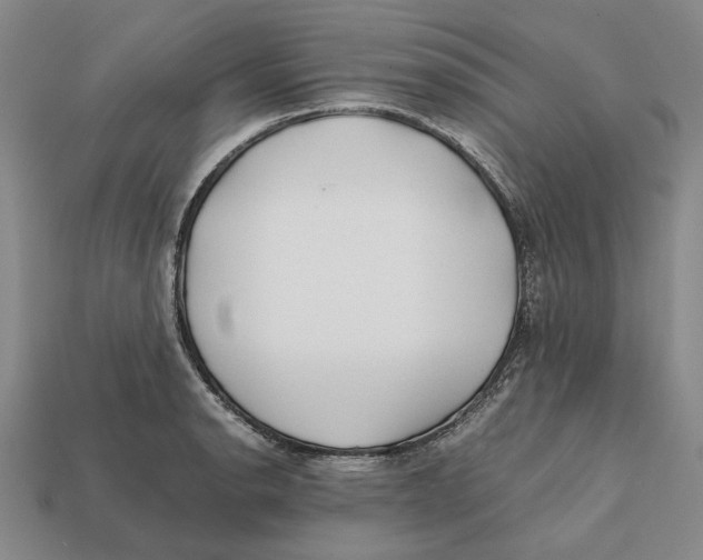 X0000112411134200909110944
