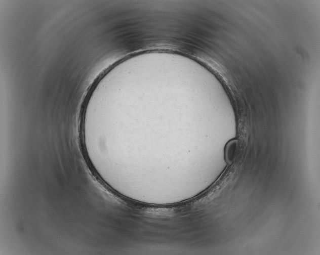 X0000112411135200909110944