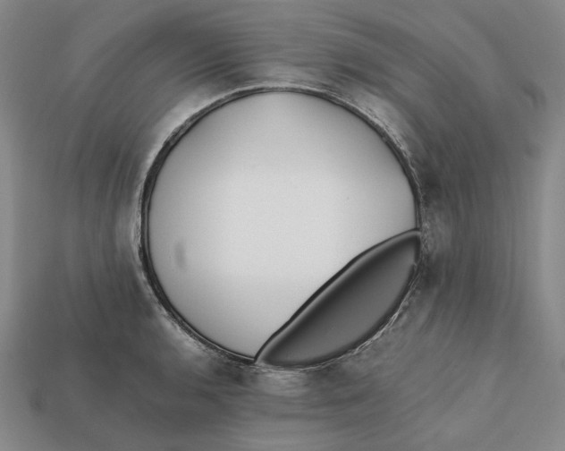X0000112411136200909110944
