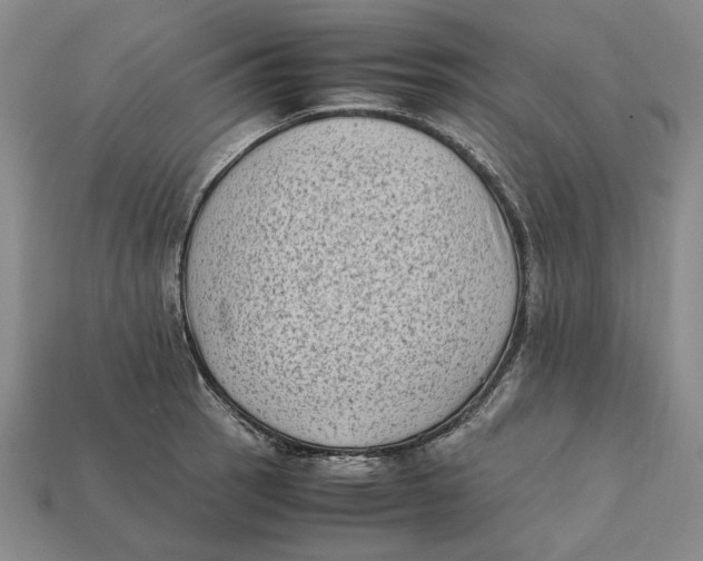 X0000112411137200909110944