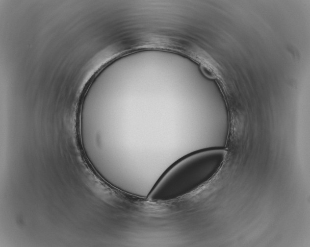 X0000112411138200909110944