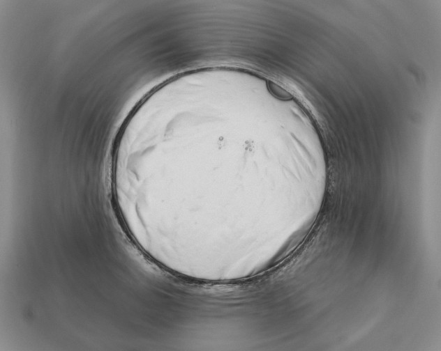 X0000112411140200909110944
