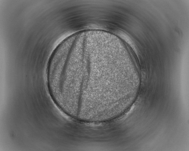 X0000112411141200909110944