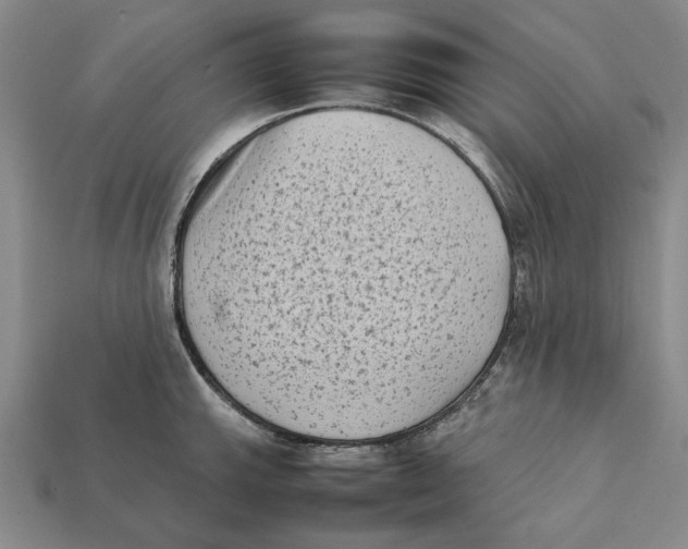 X0000112411143200909110945