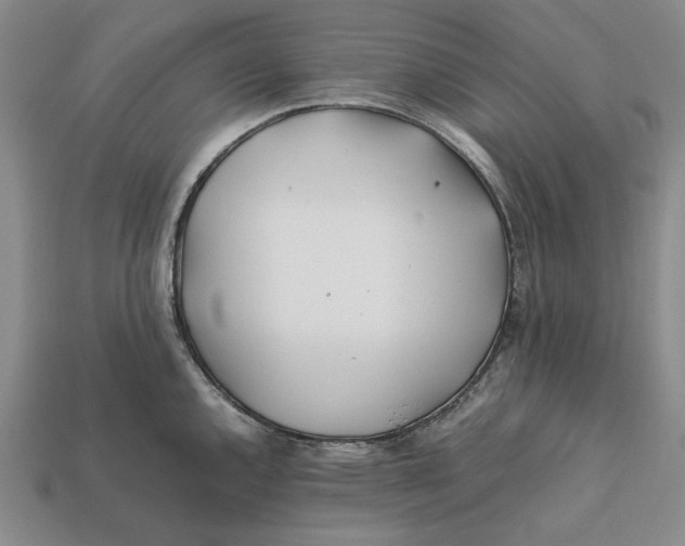 X0000112411144200909110945