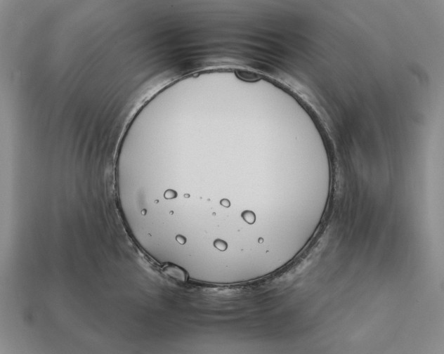 X0000112411145200909110945