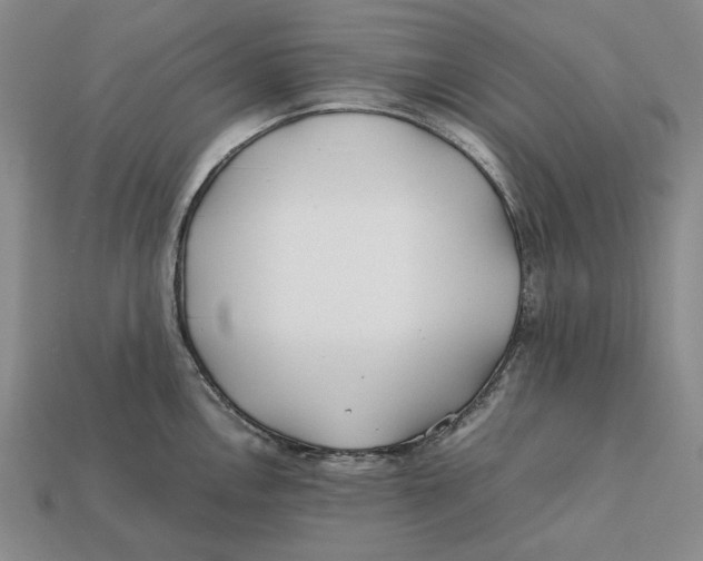 X0000112411146200909110945