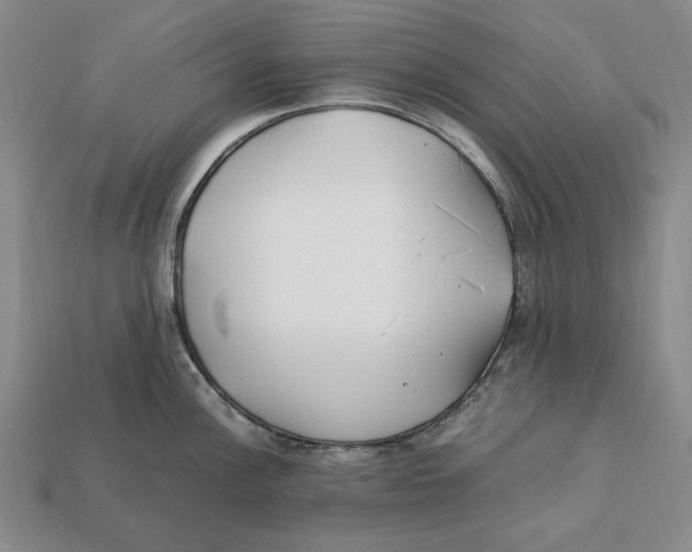 X0000112411148200909110945