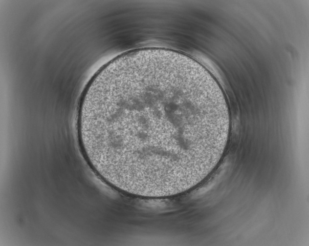 X0000112411149200909110945