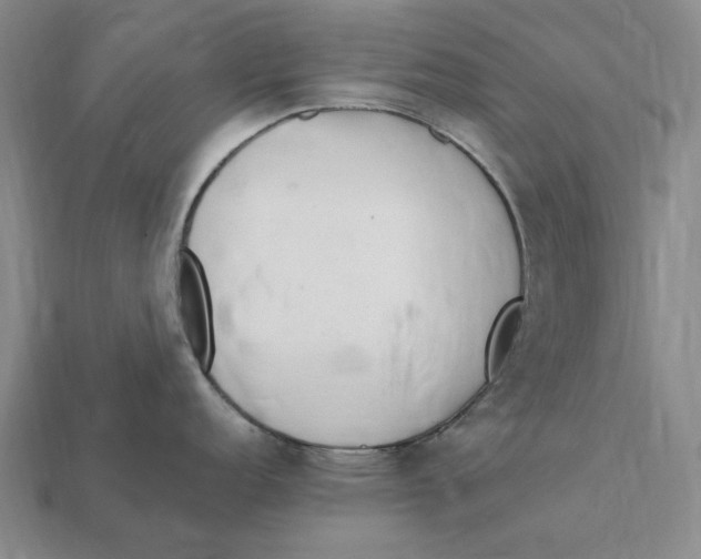 X0000112411152200909110945