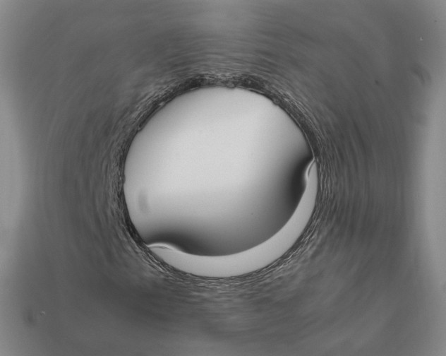 X0000112411153200909110944