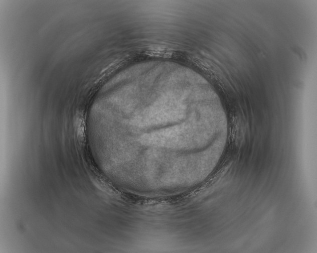 X0000112411154200909110944