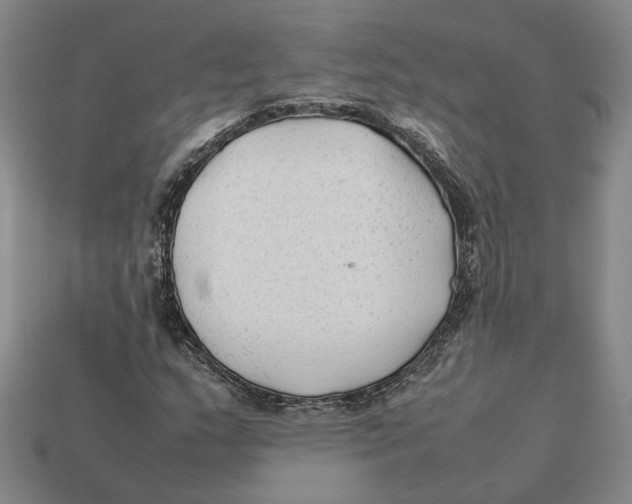 X0000112411159200909110944
