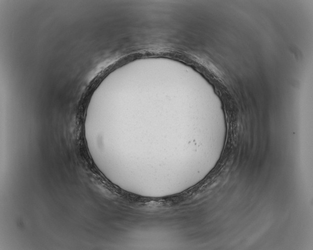 X0000112411160200909110944