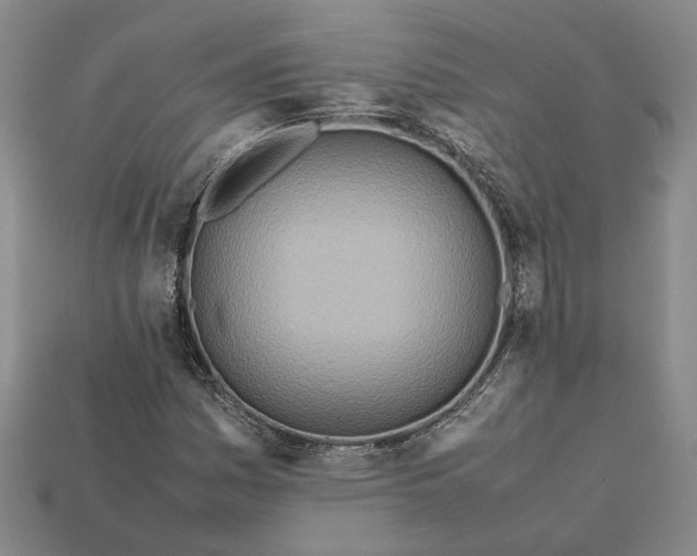 X0000112411161200909110944