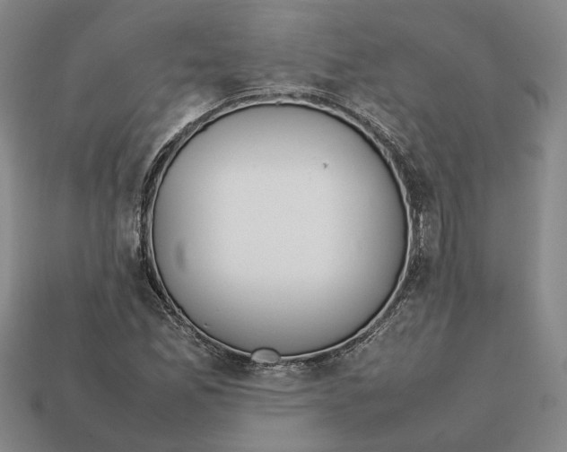 X0000112411165200909110944