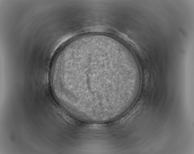 X0000112411166200909110944