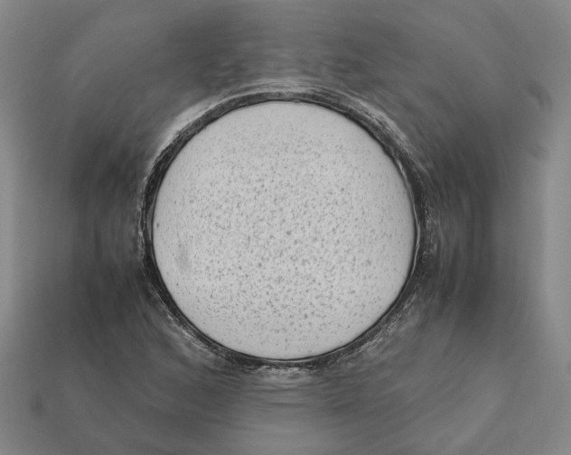 X0000112411168200909110944