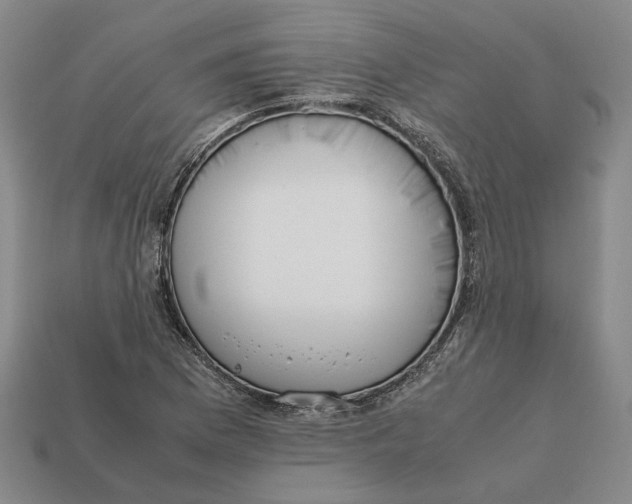 X0000112411169200909110944