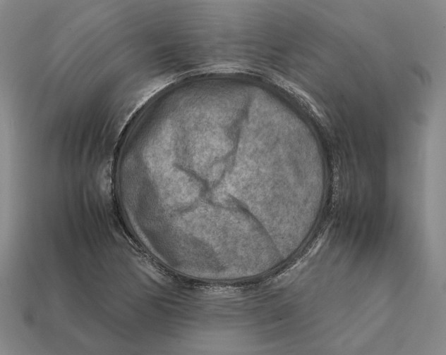 X0000112411170200909110944