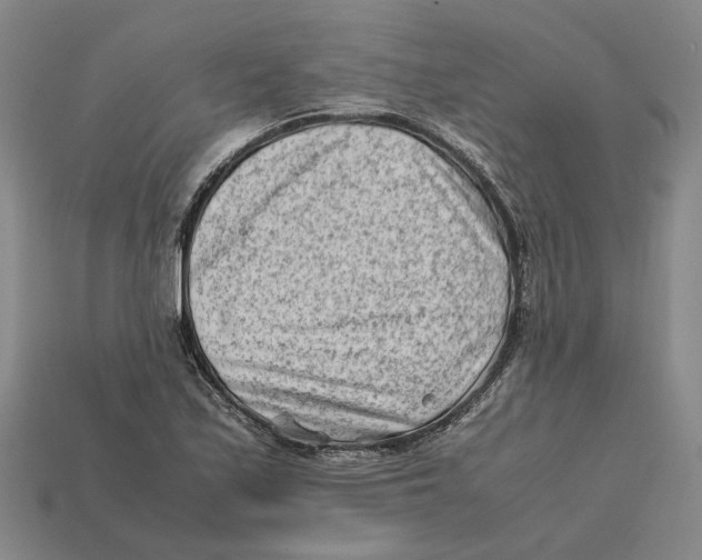 X0000112411171200909110944