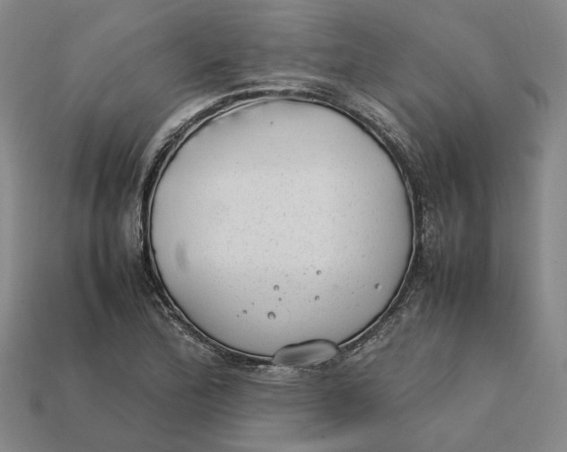 X0000112411172200909110944