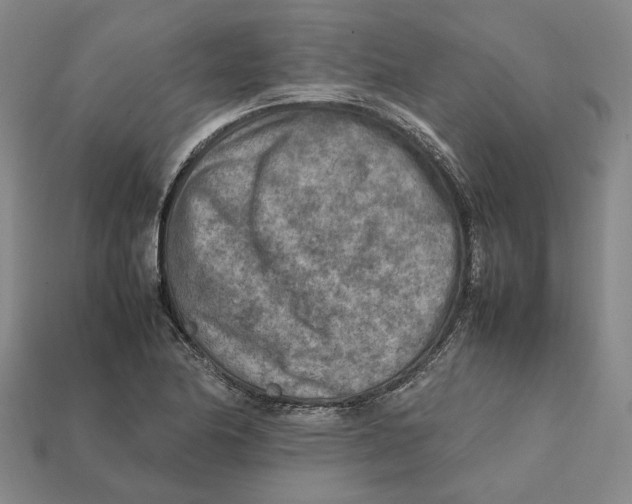 X0000112411174200909110944