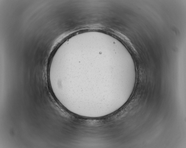 X0000112411176200909110944