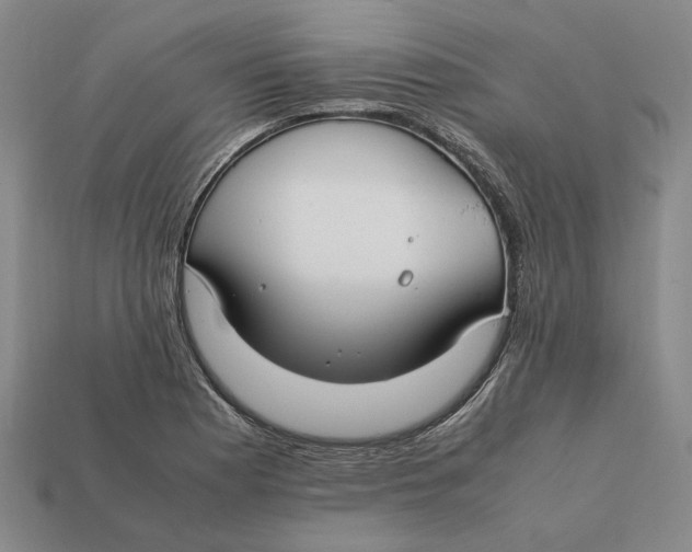 X0000112411177200909110944