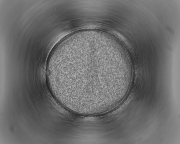 X0000112411178200909110944