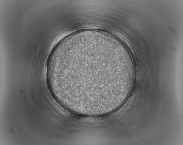 X0000112411179200909110944