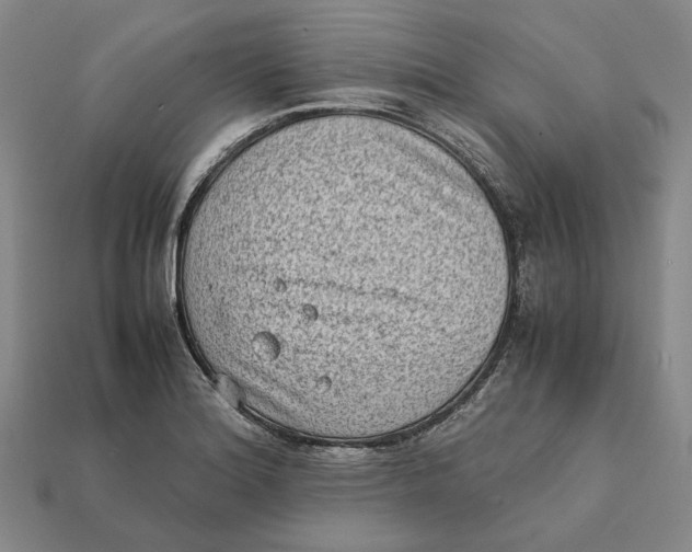 X0000112411180200909110944