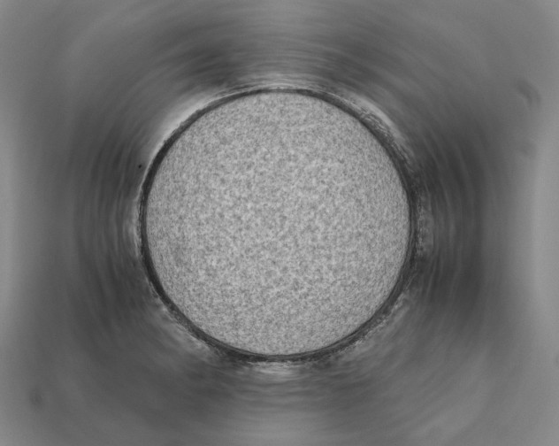 X0000112411182200909110944
