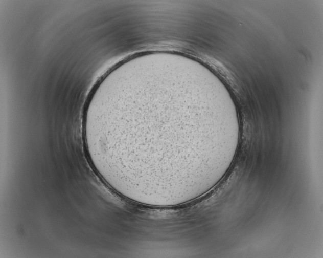 X0000112411184200909110944