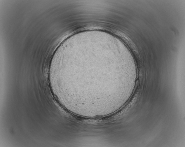 X0000112411185200909110944