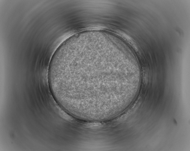 X0000112411186200909110944