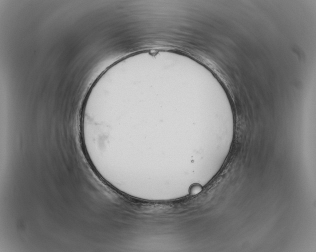 X0000112411187200909110944