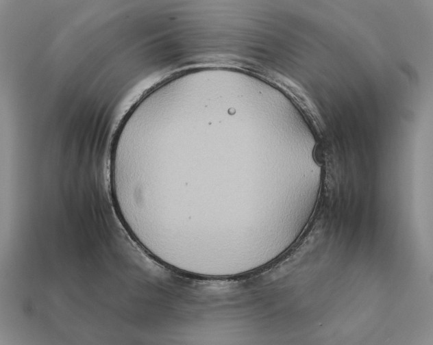 X0000112411188200909110944